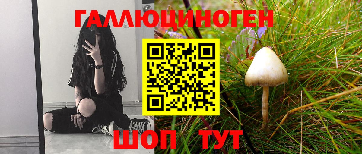 Реутов  где купить наркоту  Вход с VPN  Псилоцибиновые грибы мицелий  Галлюциногенные грибы GOLDEN TEACHER 